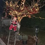 60 M² Ferienapartment Zentrumsnahe Mit Gartenbenutzung Appartamento Steyr