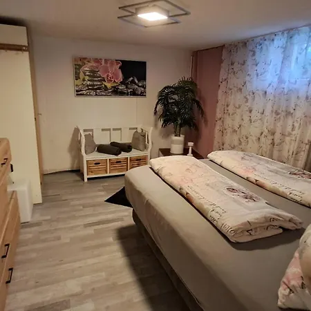 60 M² Ferienapartment Zentrumsnahe Mit Gartenbenutzung 아파트