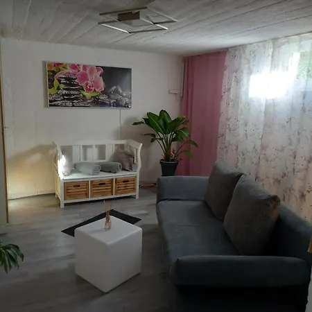 60 M² Ferienapartment Zentrumsnahe Mit Gartenbenutzung Steyr