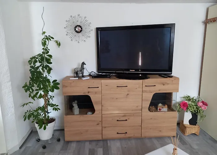 60 M² Ferienapartment Zentrumsnahe Mit Gartenbenutzung Apartment *